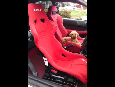 RECARO�i���J���V�[�g�j�@HONDA�@�V�r�b�N�@EK9��RECARO�i���J���j�@RS-GS�@RED�@FIA�z���O�����t���@����