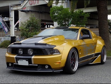 �t�H�[�h�@�}�X�^���OGT��RECARO�i���J���j�V�[�g����