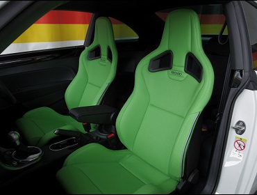 �t�H���N�X���[�Q���@�U�E�r�[�g���@2017�N�@�Ɂ@RECARO�i���J���j�@�X�|�[�c�X�^�[LL100H���U�[SE�@����J���[�@Green�@�~2�r�@����