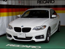 BMW�@F22�@�Ɂ@RECARO�i���J���j�@TS-G�@GK�@BK/BL�@����