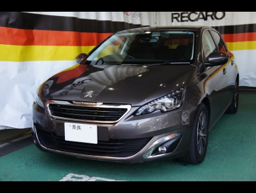 �v�W���[�@308�@T9�i2016�N�j�@�Ɂ@RECARO�i���J���j�@�G���S���hD�@BK�@����