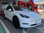 TESLA�@���f��Y�@ZAA-YL3YT�i2023�N�j�@�Ɂ@RECARO�i���J���j�@�X�|�[�c�X�^�[LL210H�@BK�@����