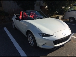 RECAROiƒŒƒJƒƒV[ƒgj@MAZDA@ƒ[ƒhƒXƒ^[@ND‚ɃŒƒJƒ@RS-GS RED@~2‹r@‘•’…