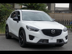 RECARO�i���J���V�[�g�j�@MAZDA�@CX-5�Ƀ��J���@�X�|�[�c�X�^�[LL100H ���U�[SE�@BK���U�[�@RED�X�e�b�`�iRED/BL���C���jK�@����