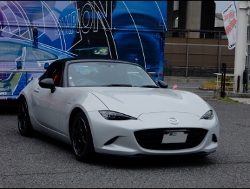 RECARO�i���J���V�[�g�j�@MAZDA�@���[�h�X�^�[�@NRA�@ND5RC�Ƀ��J���@New�@SR-7�@Lassic RED���U�[�@����