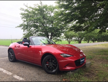 MAZDA�@ND���[�h�X�^�[��RECARO�i���J���jTS-G �A���J���^�[���@����