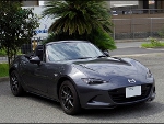 RECAROiƒŒƒJƒƒV[ƒgj@MAZDA@ƒ[ƒhƒXƒ^[@ND5RC‚ɃŒƒJƒ@RS-G@GK@BK/BK@•@SR-7F GK100@BK/BK@‘•’…