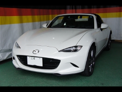 MAZDA�@���[�h�X�^�[�@NDERC�i2018�N�j�@�Ɂ@RECARO�i���J���j�@SR-7F�@�A�h�o���X�G�f�B�V����2019�@RED�@���@�V�[�g�o�b�N�J�o�[�@�s�A�m�u���b�N�@����