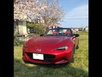 MAZDA@ƒ[ƒhƒXƒ^[@ND5RCi2015”Nj@‚É@RECAROiƒŒƒJƒj@SR-7@GU100H@RED@•@SR-7F@GU100@RED@‘•’…