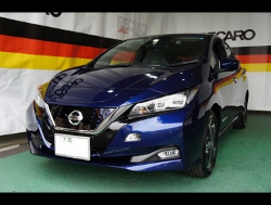 NISSAN�@���[�t�@�Ɂ@RECARO�i���J���j�@LX-F�@IN110�@�O���C�@�V�[�g�q�[�^�[�t���@���@LX-F�@IN110�@�O���C�@�V�[�g�q�[�^�[�t���@�d����]�V�[�g�@����