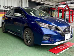 NISSAN�@���[�t�@ZE1�i2019�N�j�@�Ɂ@RECARO�i���J���j�@�G���S���hD�@BK�@����