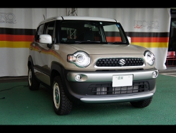 SUZUKI�@�N���X�r�[�@�Ɂ@RECARO�i���J���j�@�G���S���hD�@BK�@�V�[�g�q�[�^�[�t���@����