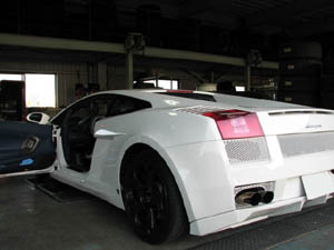 �����{���M�[�j �K�����h