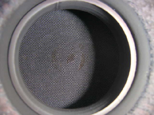 �E�B�b�V���iWISH�j�@�����G�}