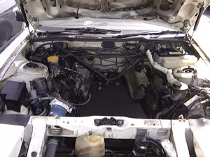 �t�F�A���f�B Z�@Z31