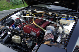 �t�F�A���f�B Z�@Z31